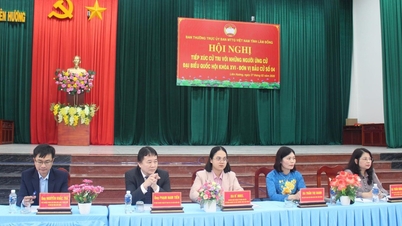 Lam Dong : Les électeurs apprécient beaucoup les programmes d'action des candidats à l'Assemblée nationale.