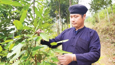 তরুণ ও গতিশীল পার্টি শাখা সম্পাদক