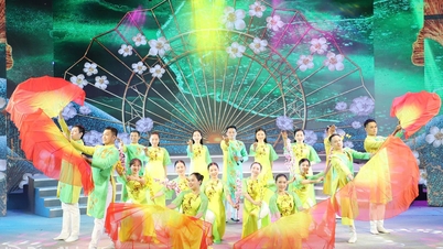Celebrating and spreading the poetry of Dong Nai