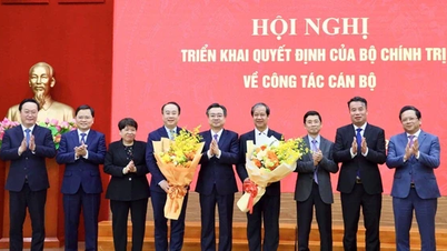 Minister Nguyen Kim Son is herbenoemd tot plaatsvervangend hoofd van de afdeling Beleid en Strategie van het Centraal Comité.