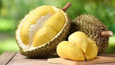 Vietnam podría superar a Tailandia y convertirse en el mayor exportador de durian del mundo.