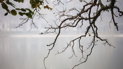 In the North, it's foggy in the early morning and sunny at noon.