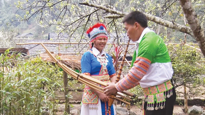 ក្រោមពណ៌នៃនិទាឃរដូវឆ្នាំថ្មី
