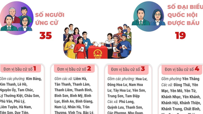 ស្រុកបោះឆ្នោតចំនួន ៨ នៃខេត្តនិញប៊ិញ