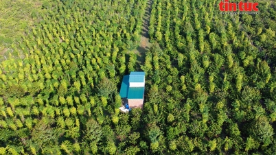 Les exportations agricoles, forestières et halieutiques ont atteint un excédent de 2,08 milliards de dollars au cours du premier mois de 2026.