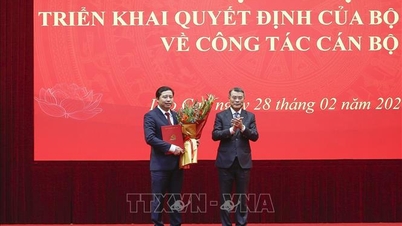 Wakil Inspektur Jenderal Pemerintah Duong Quoc Huy telah diangkat menjadi Sekretaris Komite Partai Provinsi Lao Cai.