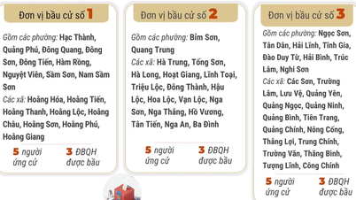 6 okręgów wyborczych prowincji Thanh Hoa