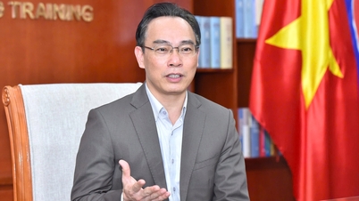 Profesor Madya Dr. Hoang Minh Son telah ditunjuk sebagai Pelaksana Tugas Menteri Pendidikan dan Pelatihan.
