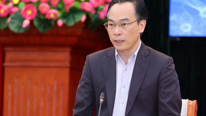 Bapak Hoang Minh Son telah ditunjuk sebagai Pelaksana Tugas Menteri Pendidikan dan Pelatihan.