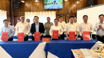 ការតភ្ជាប់ផលិតផលកសិកម្ម និងផលិតផល OCOP ពី Can Tho ទៅកាន់ Cantho ECO Resort។