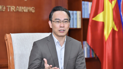 Hoang Minh Son, Director of Hanoi National University, has been appointed Acting Minister of Education and Training.