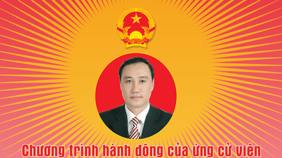 Action program of candidate for the 16th National Assembly of Khanh Hoa province, Phung Khanh Tai