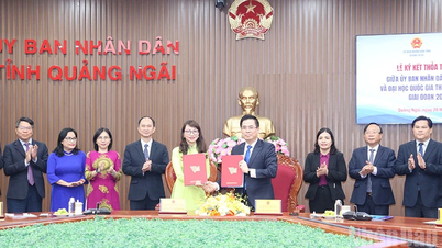 Quảng Ngai tartomány együttműködési megállapodást írt alá a Ho Si Minh-városi Vietnami Nemzeti Egyetemmel.