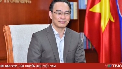 O Primeiro-Ministro nomeou o Professor Associado Dr. Hoang Minh Son como Ministro Interino da Educação e Formação.