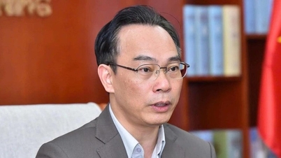 Sayın Hoang Minh Son, Eğitim ve Öğretim Bakan Vekili olarak atandı.