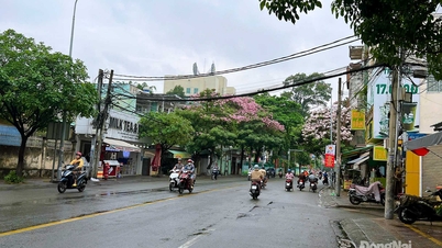ចាប់ពីថ្ងៃទី ២៩ ខែកុម្ភៈ ដល់ថ្ងៃទី ៥ ខែមីនា៖ ខេត្តដុងណៃបានជួបប្រទះនឹងអាកាសធាតុក្តៅ និងមានពន្លឺថ្ងៃ ស្ទើរតែគ្មានភ្លៀង។