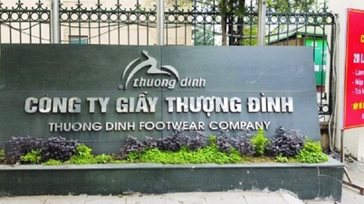 Un acționar important al companiei Thuong Dinh Shoes a vândut în mod neașteptat sute de mii de acțiuni.