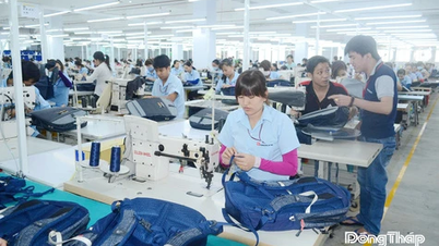 Establish a Steering Committee for the Development of the Private Economy in Dong Thap Province.