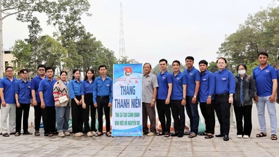 Para pemuda di An Giang Urban Environment Joint Stock Company bergandengan tangan untuk menciptakan lanskap indah di sekitar Danau Nguyen Du.