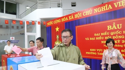 Ho Chi Minh-stad: De kiezerslijst herzien, aanpassen en volledig bijwerken.