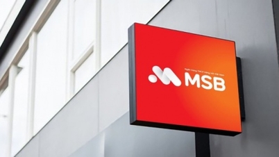VMSC blijft plannen maken voor de volledige afsplitsing van MSB.