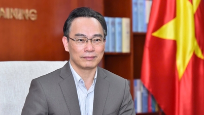 Hoang Minh Son, Director of Hanoi National University, has been appointed Acting Minister of Education and Training.