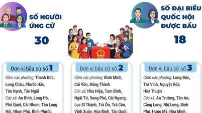 Wybory do Zgromadzenia Narodowego i Rady Ludowej: 6 okręgów wyborczych w prowincji Vinh Long