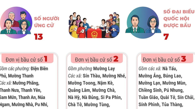 ການເລືອກຕັ້ງສະພາແຫ່ງຊາດ ແລະ ສະພາປະຊາຊົນ: 3 ເຂດເລືອກຕັ້ງຢູ່ແຂວງດ້ຽນບຽນ
