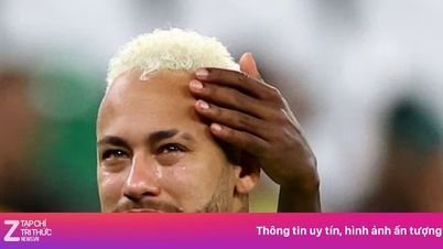 ব্রাজিলের রাষ্ট্রপতি নেইমারকে কড়া বার্তা দিলেন।