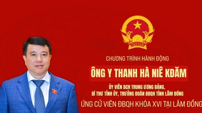 Plan d'action de M. Y Thanh Ha Nie Kdam, membre du Comité central du Parti, secrétaire du Comité provincial du Parti, chef de la délégation de l'Assemblée nationale de la province de Lam Dong.