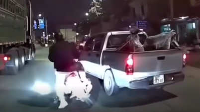 Authorities are urgently investigating the incident in Hanoi where a pickup truck ran over a motorcyclist.