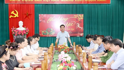 Ordföranden för den provinsiella partikommitténs inspektionskommission, Nguyen Hung Vuong, inspekterar valförberedelserna i Lam Binh och Minh Quang.