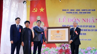 Ninh Binh: Vi Khe Temple receives National Historical Monument Certificate.