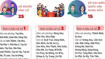 National Assembly and People's Council elections: 5 constituencies in Dak Lak province