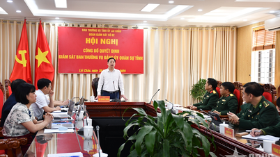 Bekendmaking van het besluit van het Permanent Comité van de Provinciale Partij betreffende het toezicht op het Permanent Comité van het Provinciale Militaire Partijcomité van Lai Chau.