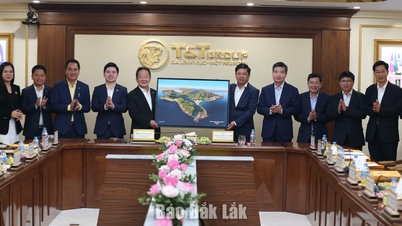 Sekretaris Partai Provinsi Luong Nguyen Minh Triet mengunjungi T&T Group.