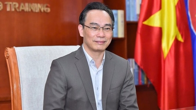 De premier heeft universitair hoofddocent dr. Hoang Minh Son benoemd tot waarnemend minister van Onderwijs en Opleiding.