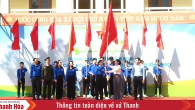 Gençlik Ayı'nı başlatmak ve Başkan Ho Chi Minh'i anmak amacıyla Ağaç Dikme Festivali'ni düzenlemek.