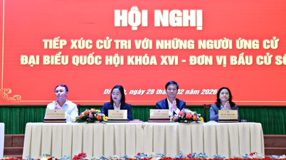 Les électeurs des districts de Di Linh et de Lam Ha ont soumis de nombreuses suggestions aux candidats à la 16e Assemblée nationale.