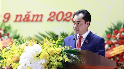 Trinh Viet Hung urat kinevezték a mezőgazdasági és környezetvédelmi miniszter állandó helyettesévé.