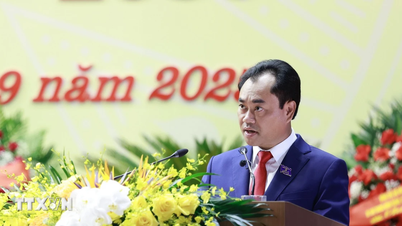 Encik Trinh Viet Hung memegang jawatan Timbalan Menteri Tetap Pertanian dan Alam Sekitar.