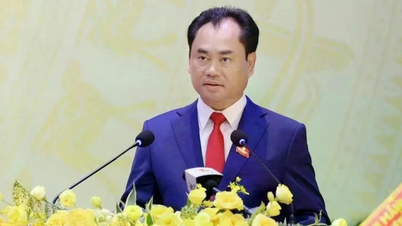 Herr Trinh Viet Hung har stillingen som fast viseminister for landbruk og miljø.