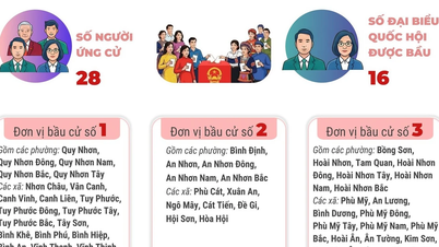 Pilihan raya Dewan Undangan Negeri dan Majlis Rakyat: 6 kawasan pilihan raya di wilayah Gia Lai