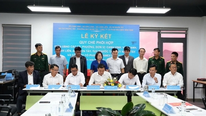 Becamex Binh Dinh membentuk mekanisme koordinasi antar-daerah untuk mendorong pembangunan berkelanjutan.
