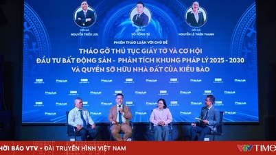 Het wegnemen van belemmeringen en het ontsluiten van investeringsmogelijkheden voor Vietnamezen in het buitenland.