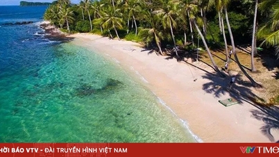 Phu Quoc met en place une équipe d'intervention rapide pour le tourisme.