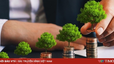 "Green certification" unlocks billions of dollars in capital for sustainable development.