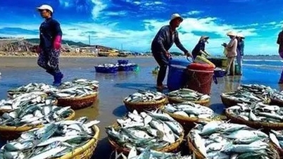 Ευκαιρίες για μια σημαντική ανακάλυψη στις εξαγωγές θαλασσινών το 2026.