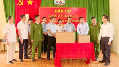 İl Parti Komitesi Teşkilat Dairesi Başkanı Tran Quang Minh, Dong Tam'da seçim hazırlıklarını denetliyor.