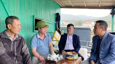 จังหวัดกวางนิงได้จัดงานเทศกาลระดับประเทศอย่างกระตือรือร้น สร้างสรรค์ และเด็ดเดี่ยว จนประสบความสำเร็จในการสร้างความเชื่อมั่นและความคาดหวัง